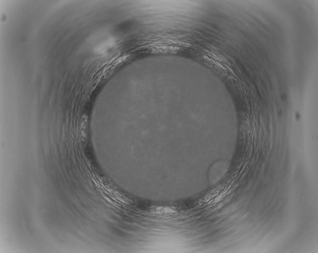 X0000059240649200510171432