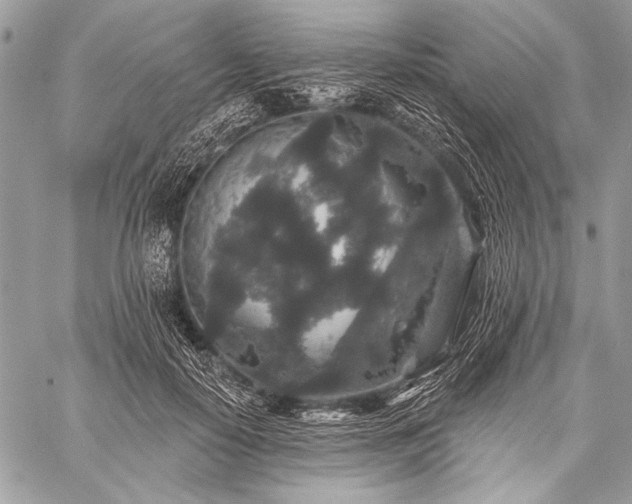 X0000059240650200510171432