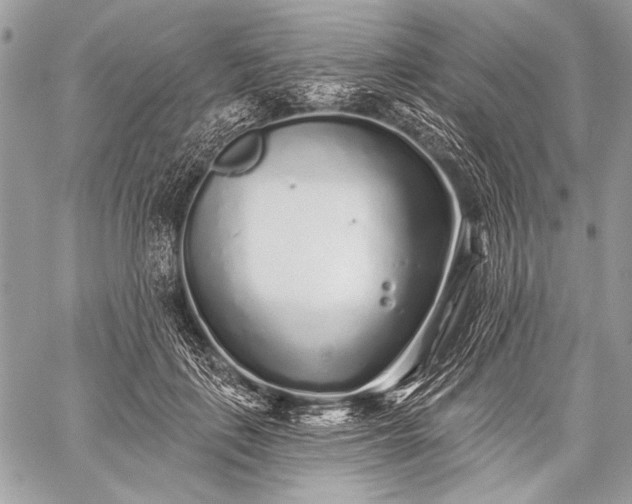 X0000059240651200510171432