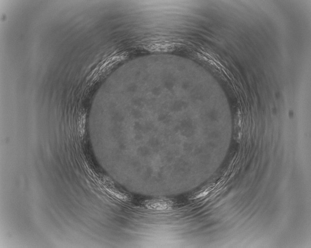 X0000059240652200510171432