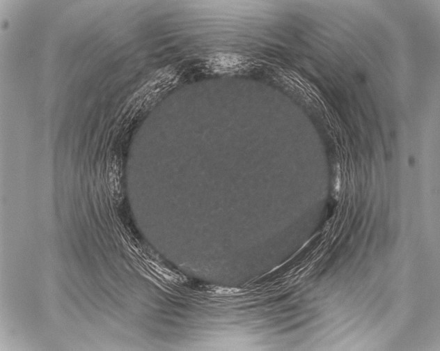 X0000059240653200510171432