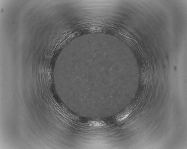 X0000059240654200510171432