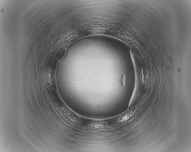 X0000059240655200510171432