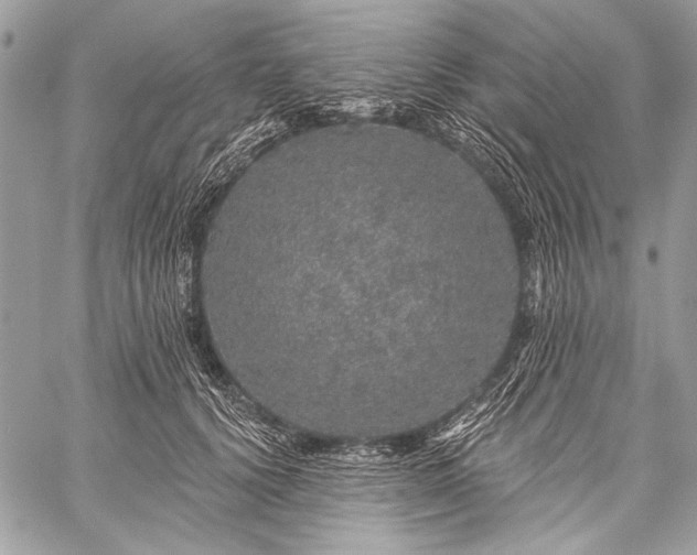 X0000059240656200510171432