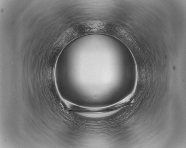 X0000059240657200510171432