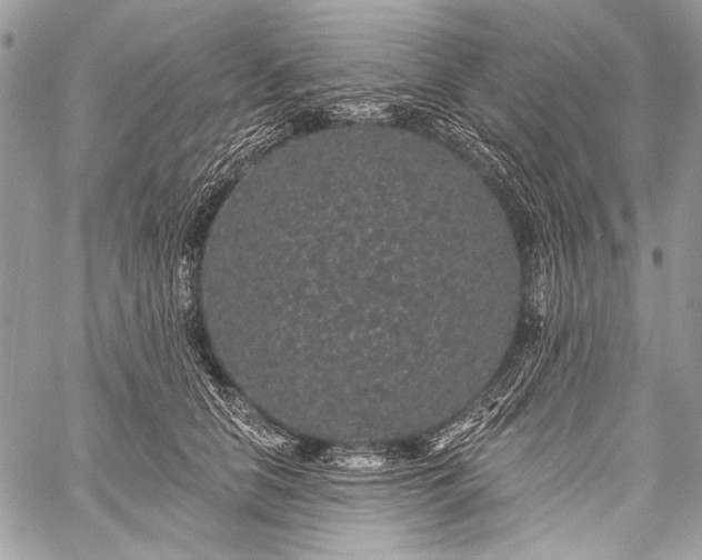 X0000059240658200510171432