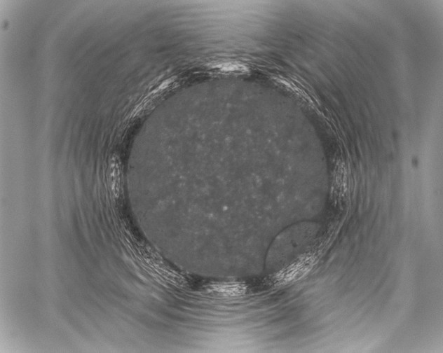 X0000059240659200510171432