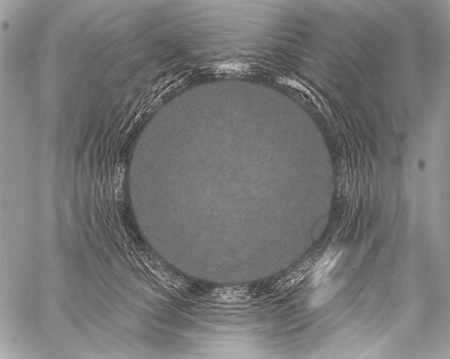 X0000059240660200510171432