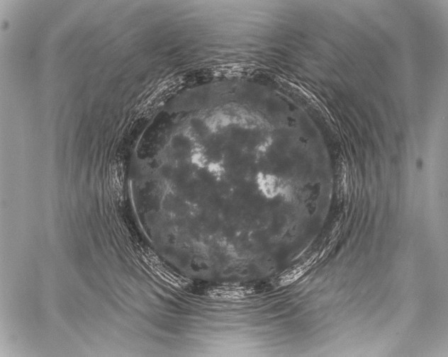 X0000059240661200510171433