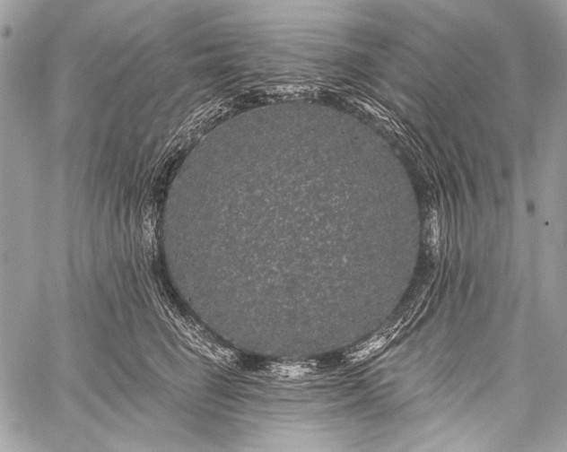 X0000059240662200510171433