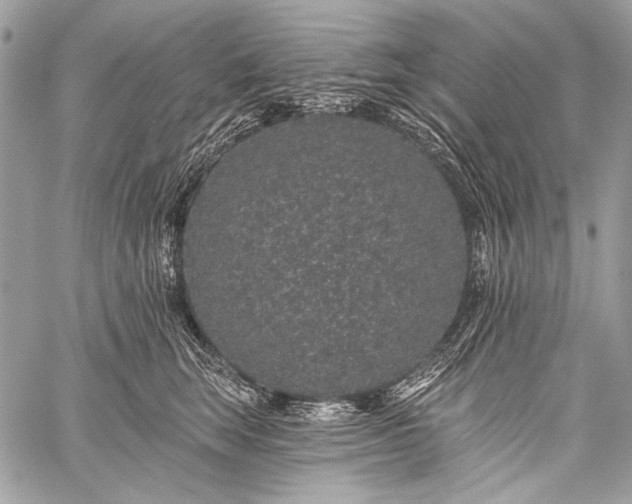 X0000059240663200510171433