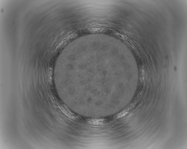 X0000059240664200510171433