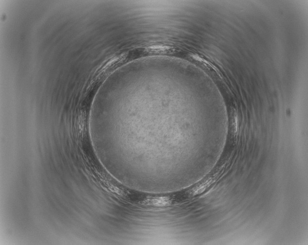 X0000059240665200510171433