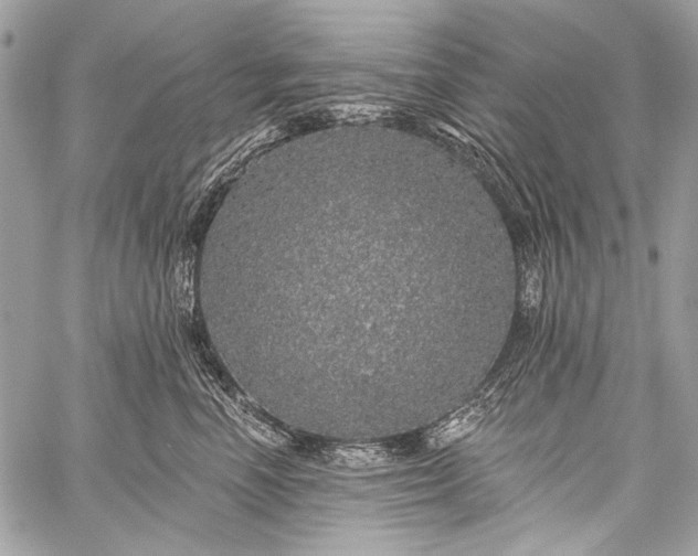 X0000059240666200510171433