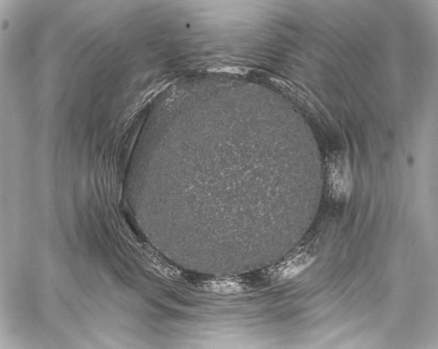 X0000059240668200510171433