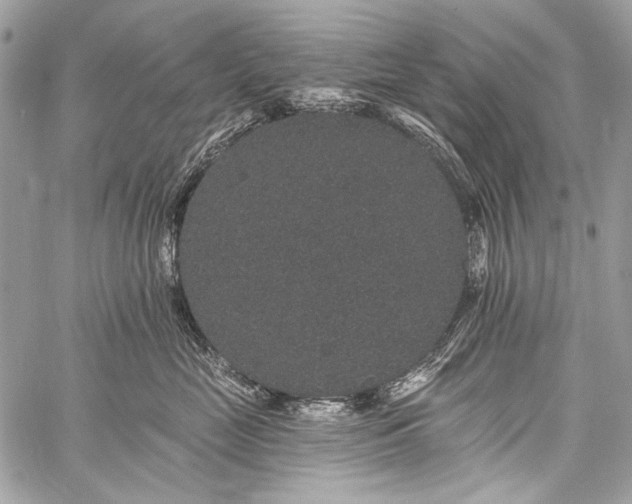 X0000059240669200510171433