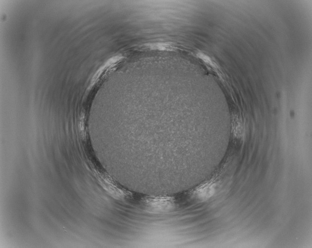 X0000059240670200510171433