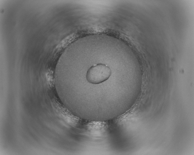 X0000059240672200510171433