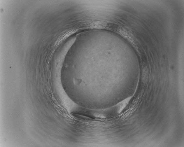 X0000059240673200510171432