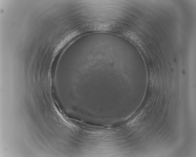 X0000059240674200510171432