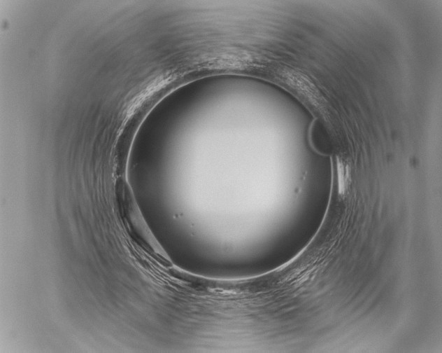 X0000059240675200510171432