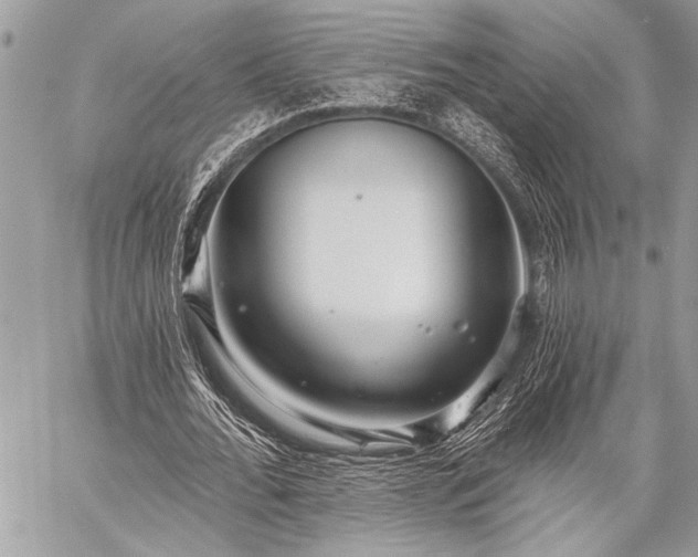 X0000059240676200510171432