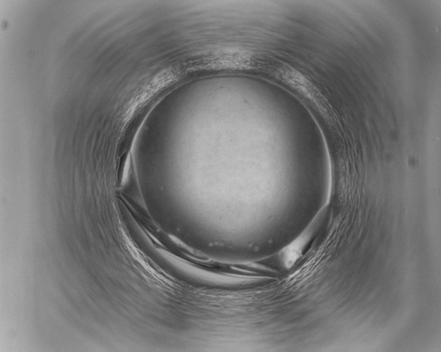 X0000059240677200510171432