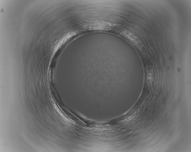 X0000059240678200510171432