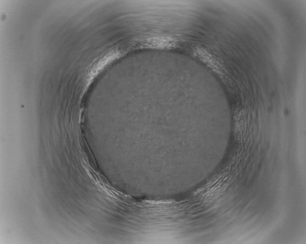 X0000059240679200510171432