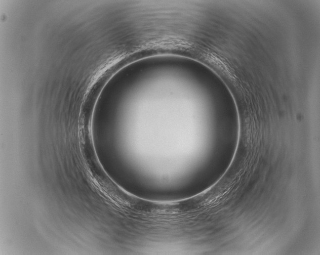 X0000059240680200510171432