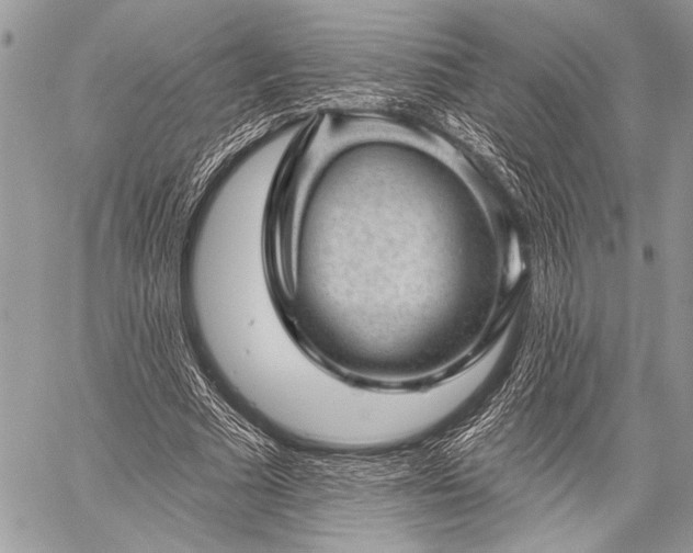 X0000059240681200510171432