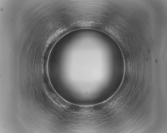 X0000059240682200510171432