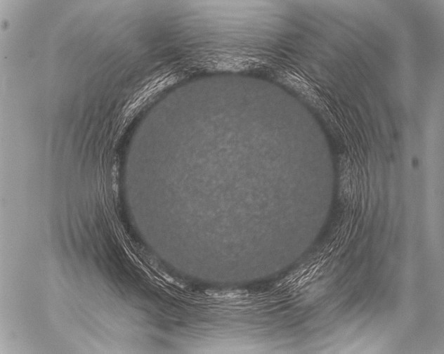 X0000059240683200510171432