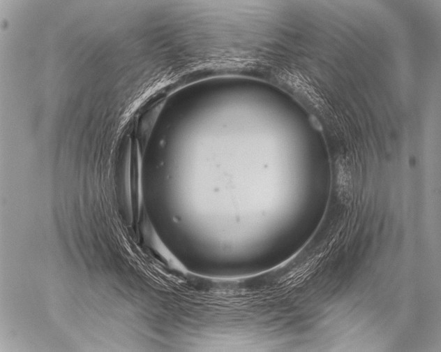 X0000059240684200510171432