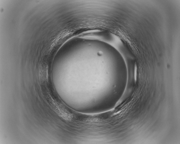 X0000059240685200510171432