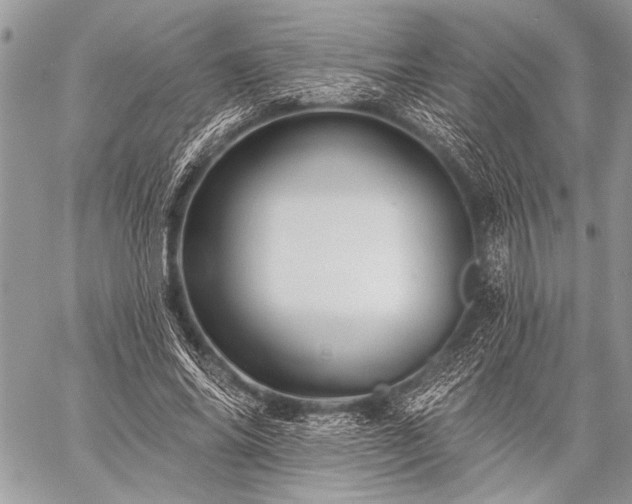 X0000059240686200510171432