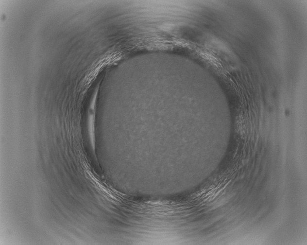 X0000059240687200510171432