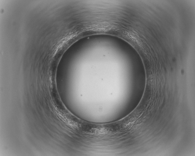 X0000059240688200510171432