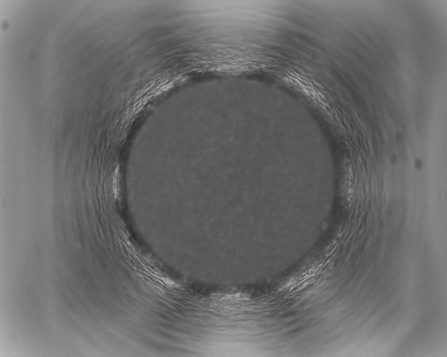 X0000059240689200510171432