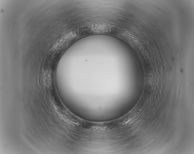 X0000059240690200510171432