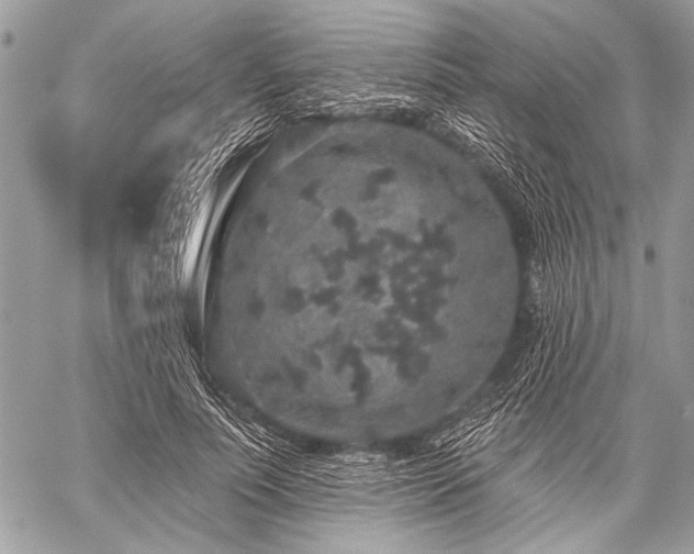 X0000059240691200510171432