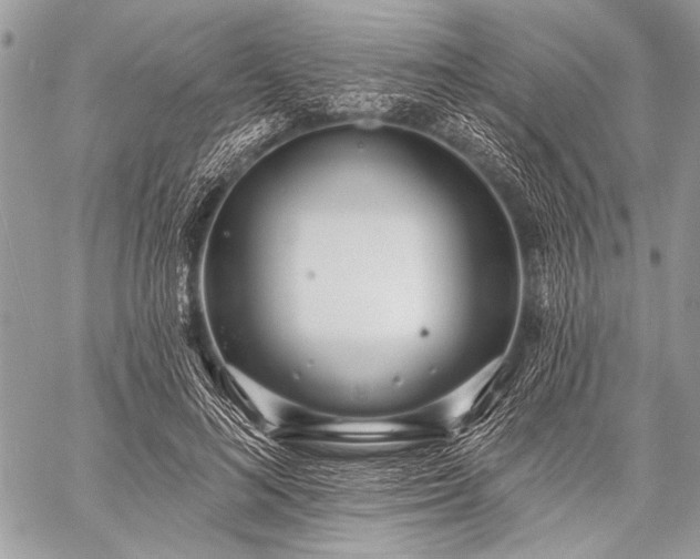 X0000059240692200510171432