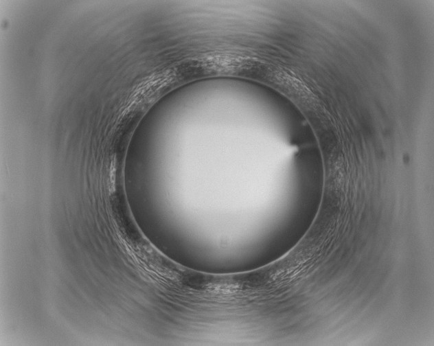 X0000059240694200510171432