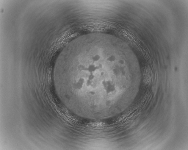 X0000059240695200510171431