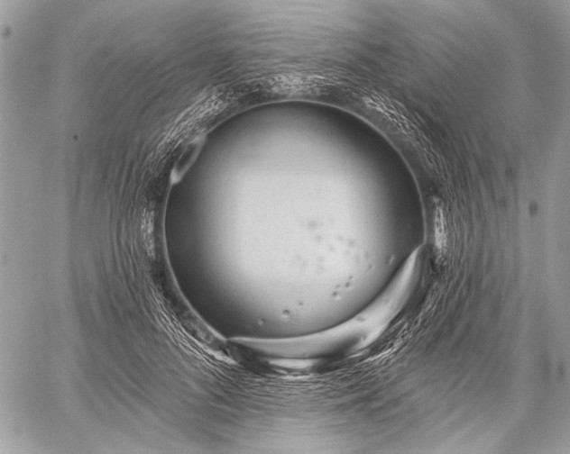 X0000059240696200510171431