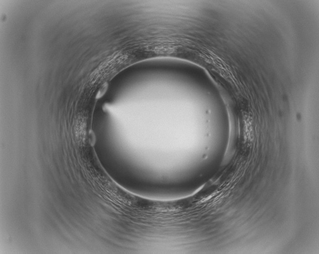 X0000059240697200510171431