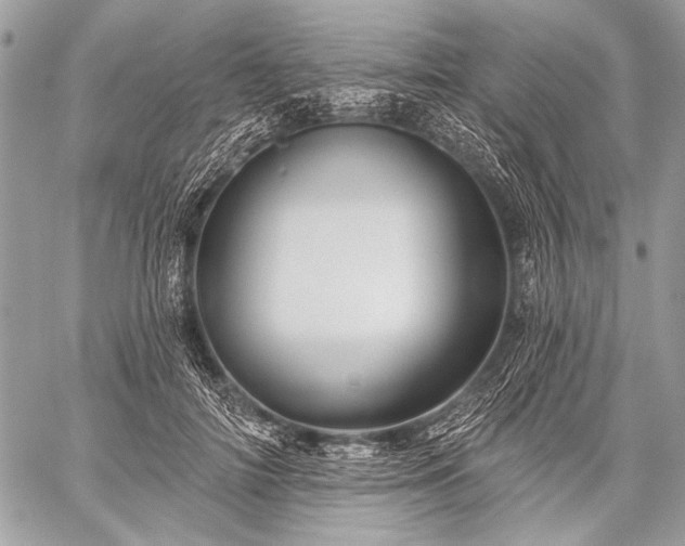 X0000059240698200510171431