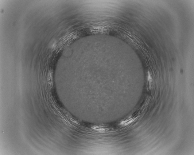 X0000059240699200510171431