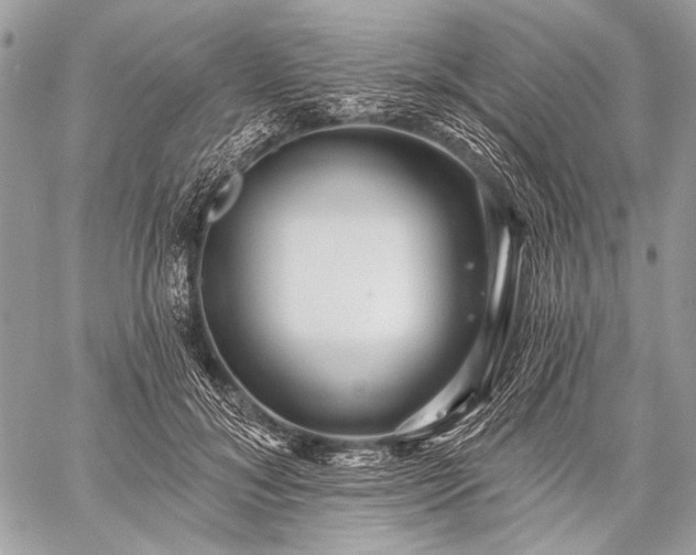 X0000059240700200510171431