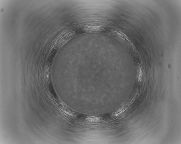 X0000059240701200510171431